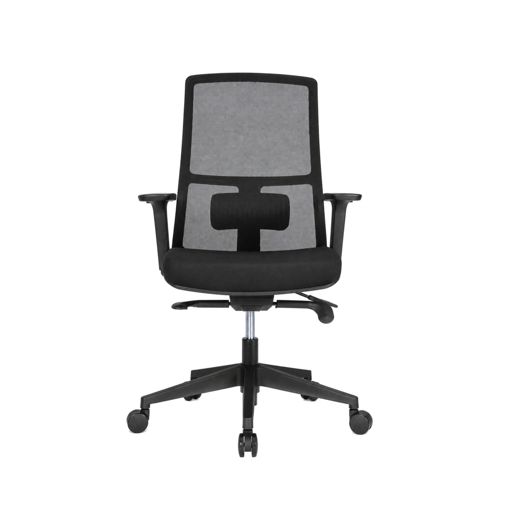 Arc Ergonomic Mesh Task Chair