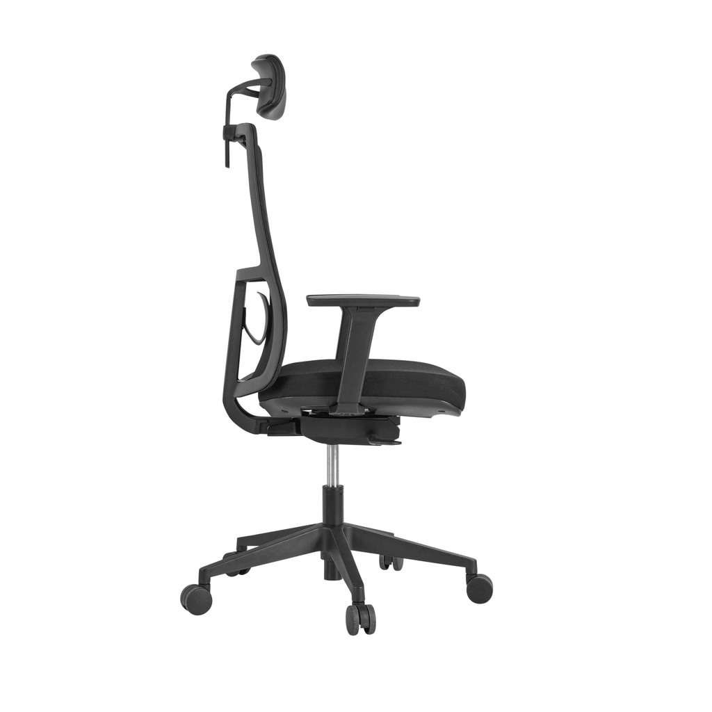 Arc Ergonomic Mesh Task Chair