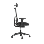 Arc Ergonomic Mesh Task Chair