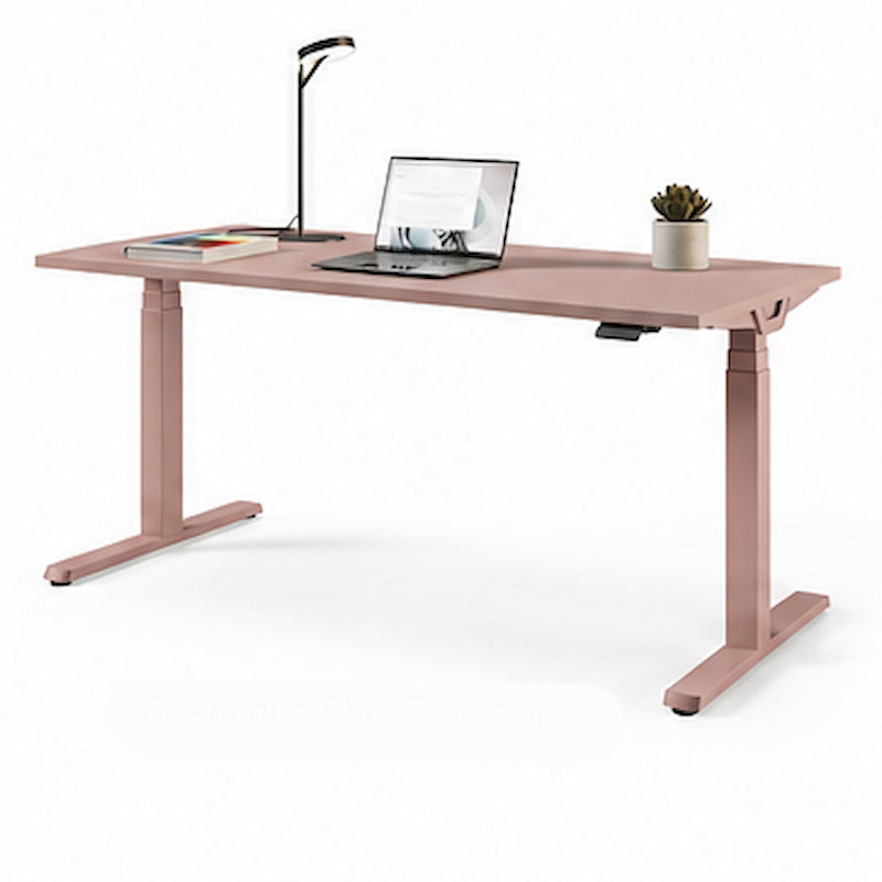 Cantaris Designer Electric Sit Stand Desk – 1600mm - Ergometric