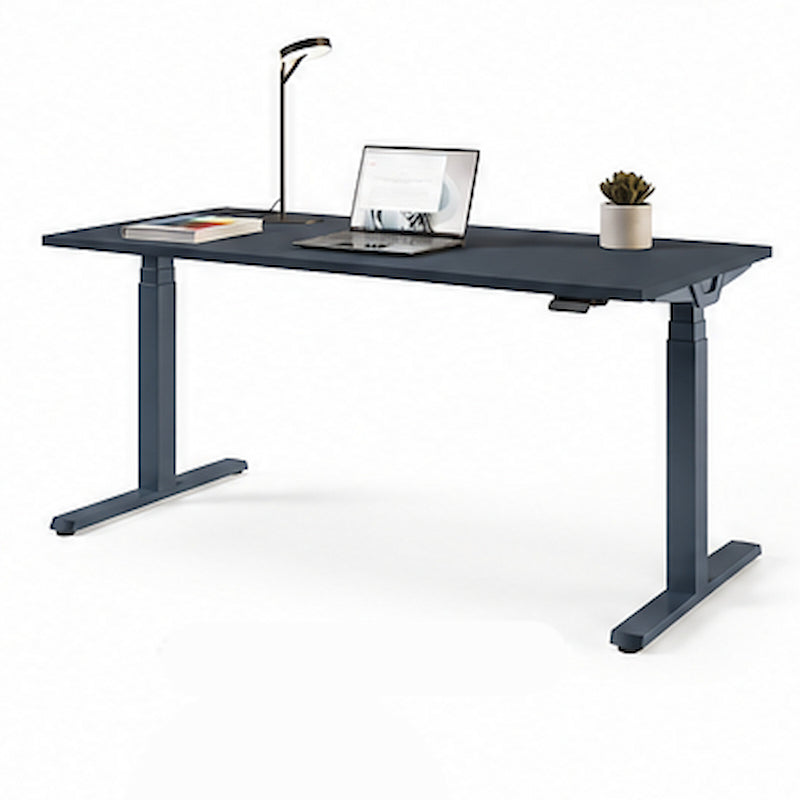 Cantaris Designer Electric Sit Stand Desk – 1600mm - Ergometric