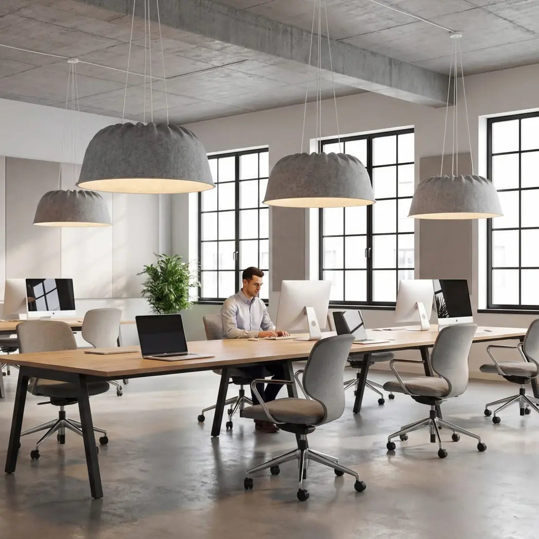 Bellora Acoustic Pendant - Ergometric