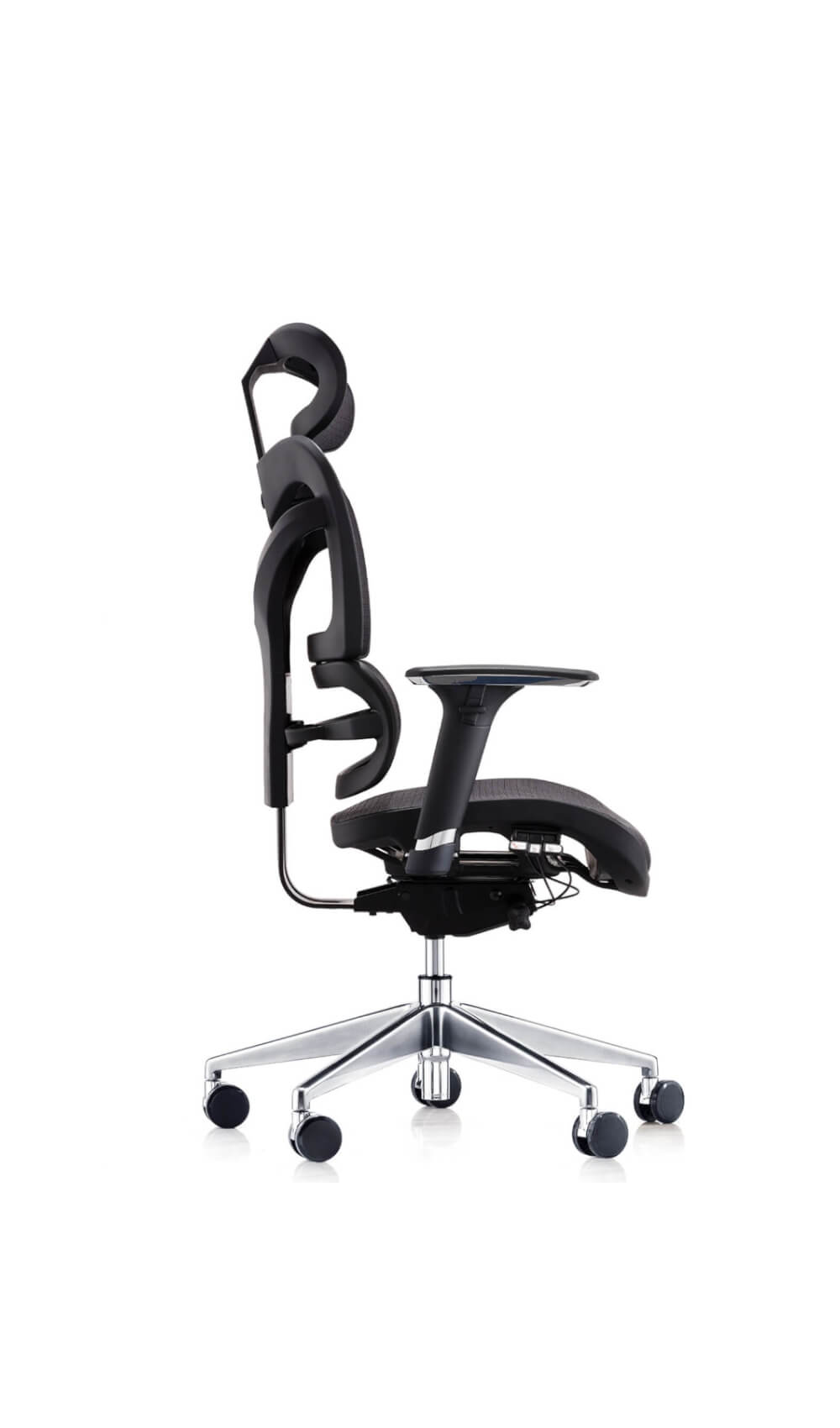 Dorsum Ergonomic Task Chair - Ergometric