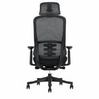 The Everything Chair - Ergometric