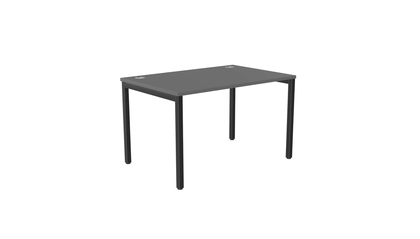 E-Bench (single) - Ergometric