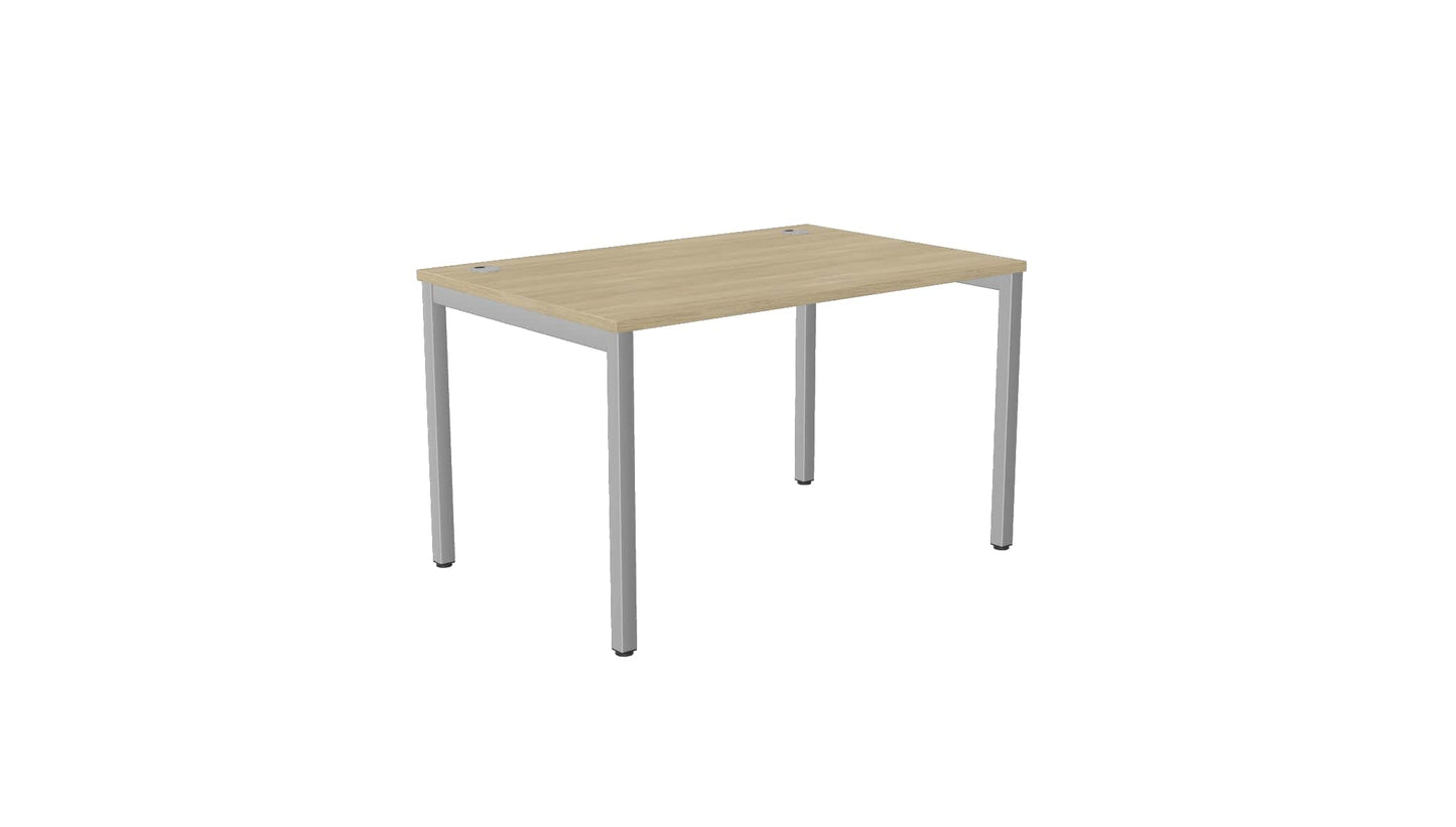 E-Bench (single) - Ergometric