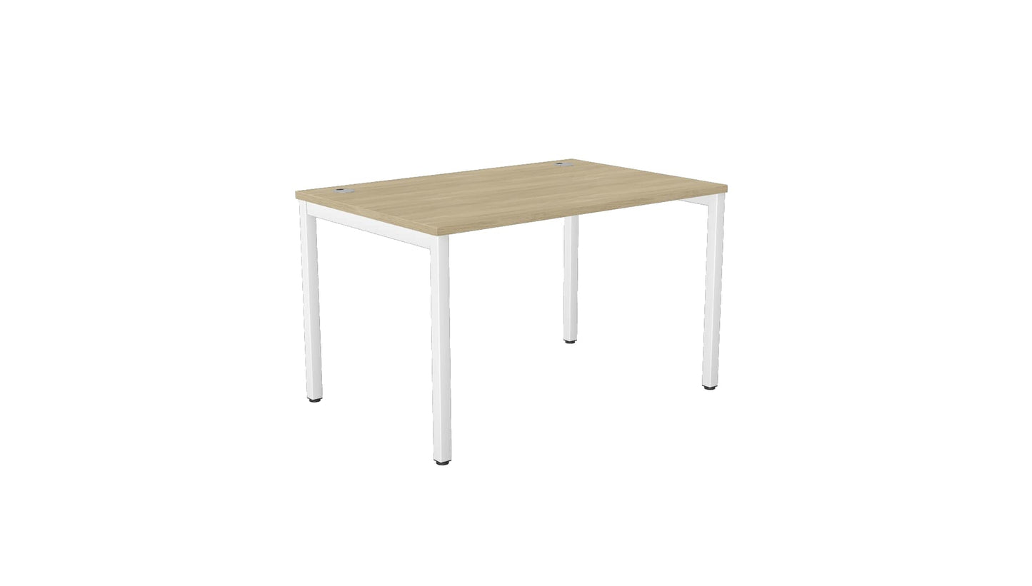 E-Bench (single) - Ergometric