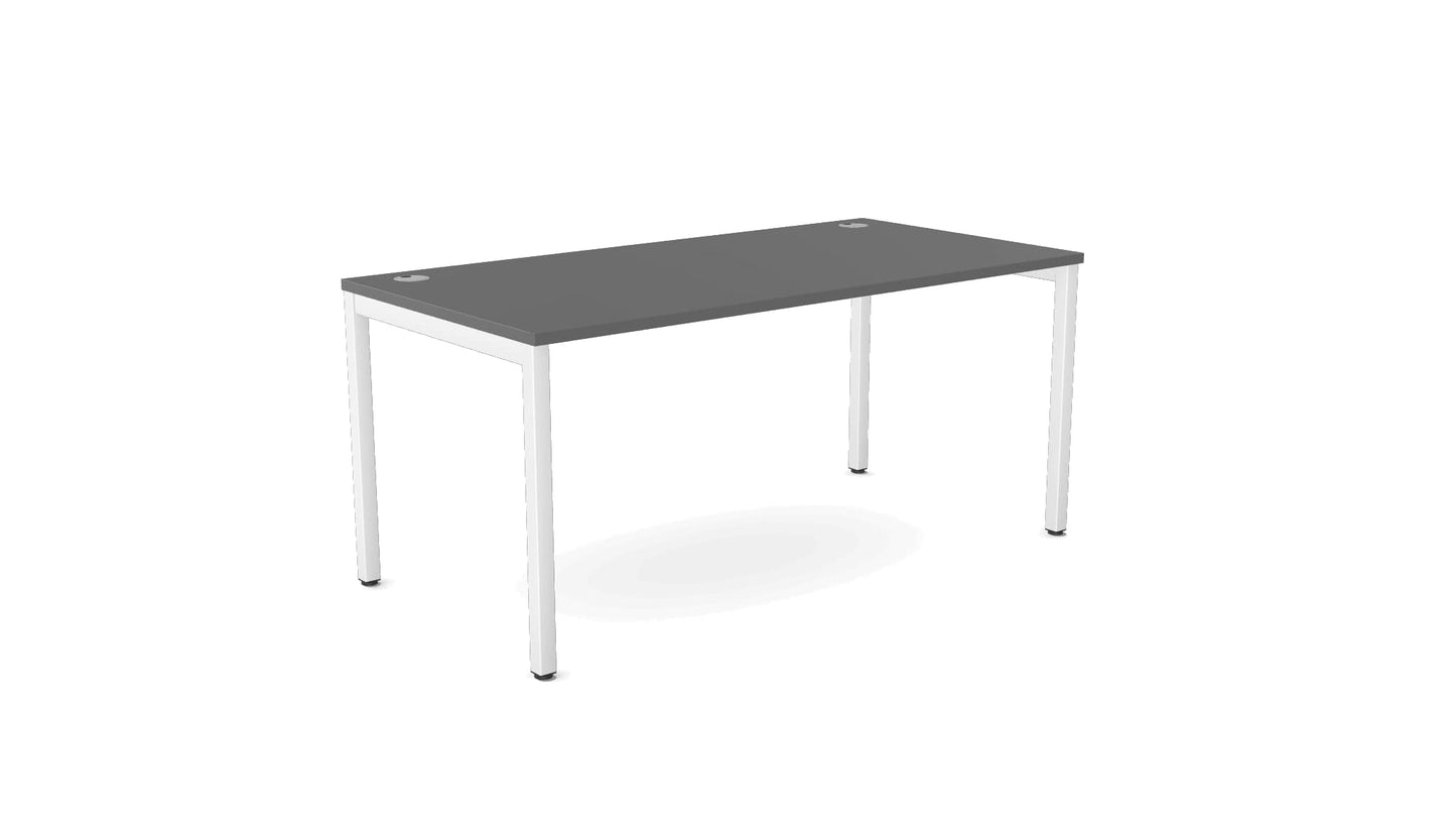 E-Bench (single) - Ergometric