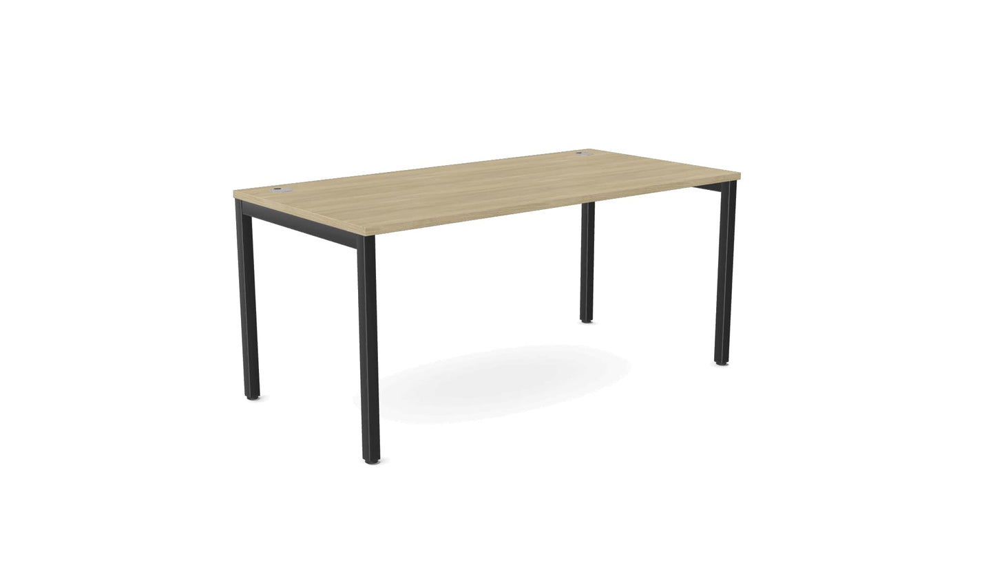 E-Bench (single) - Ergometric