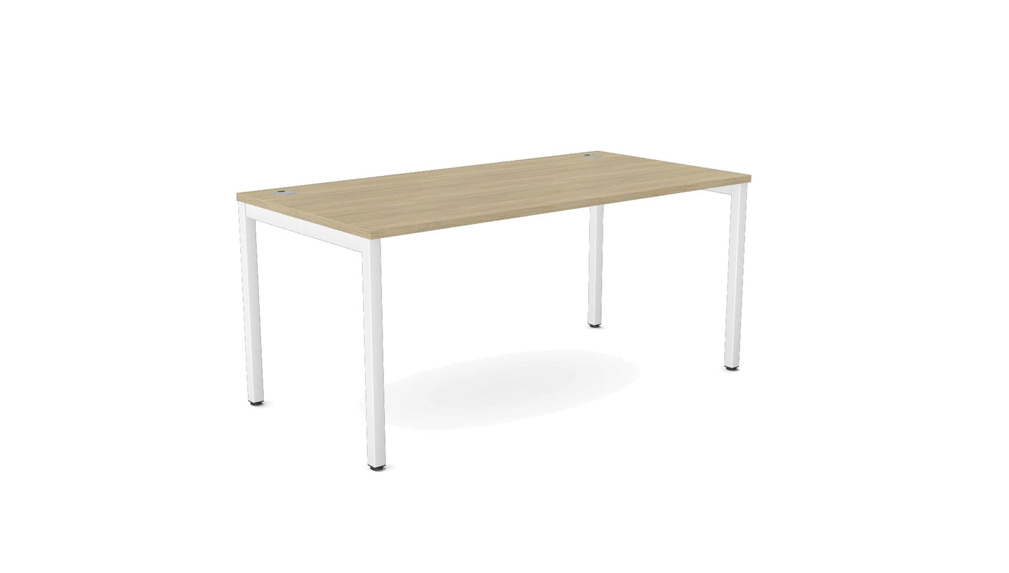 E-Bench (single) - Ergometric