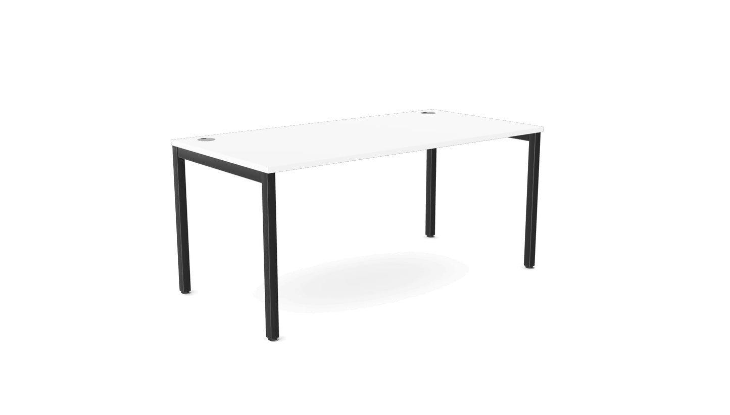 E-Bench (single) - Ergometric