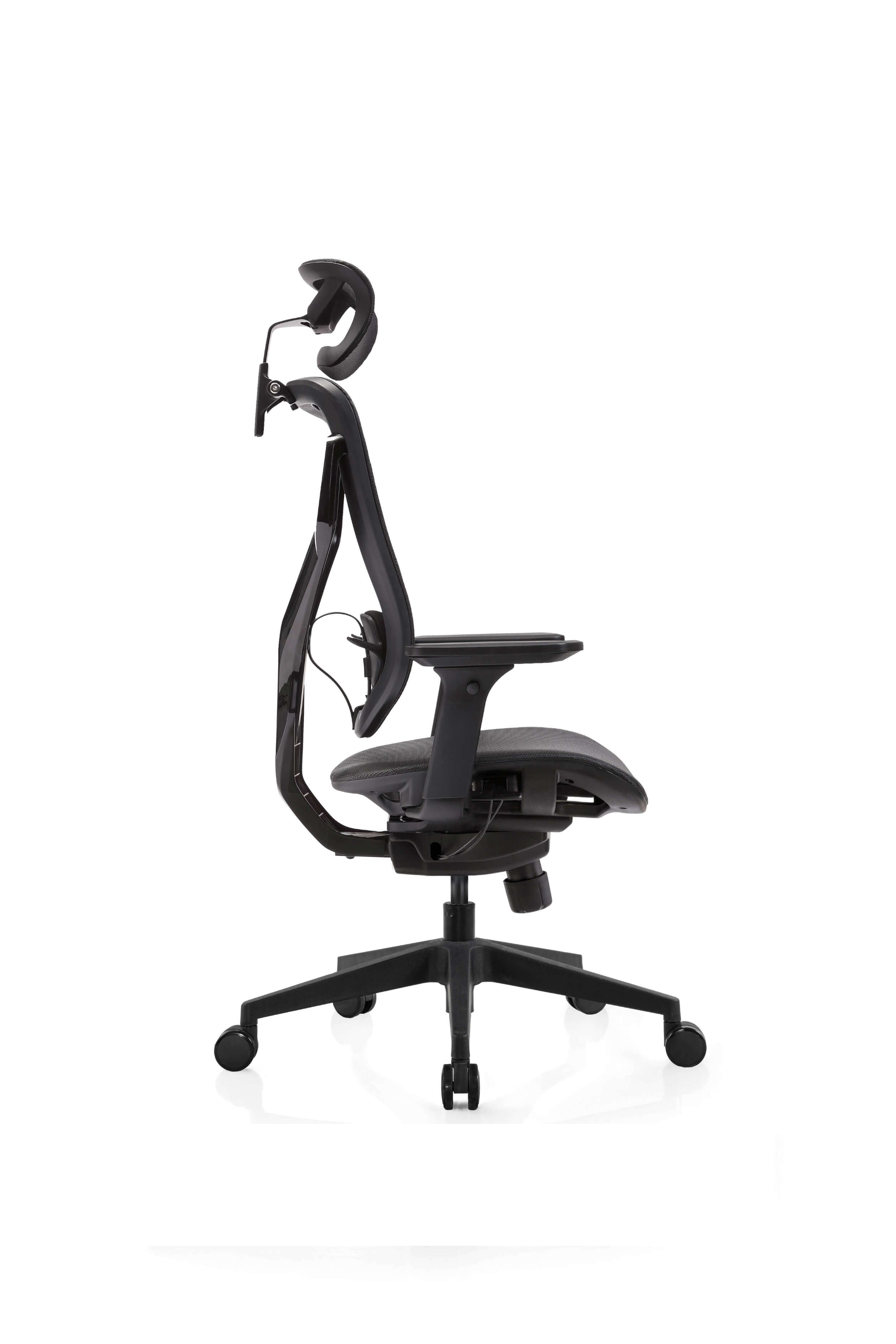 E-Form Ergonomic Task Chair: Affordable Comfort and Modern Style - Ergometric