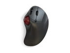 Ergonomic Thumb Trackball Mouse with Adjustable DPI