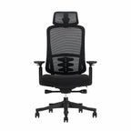 The Everything Chair - Ergometric