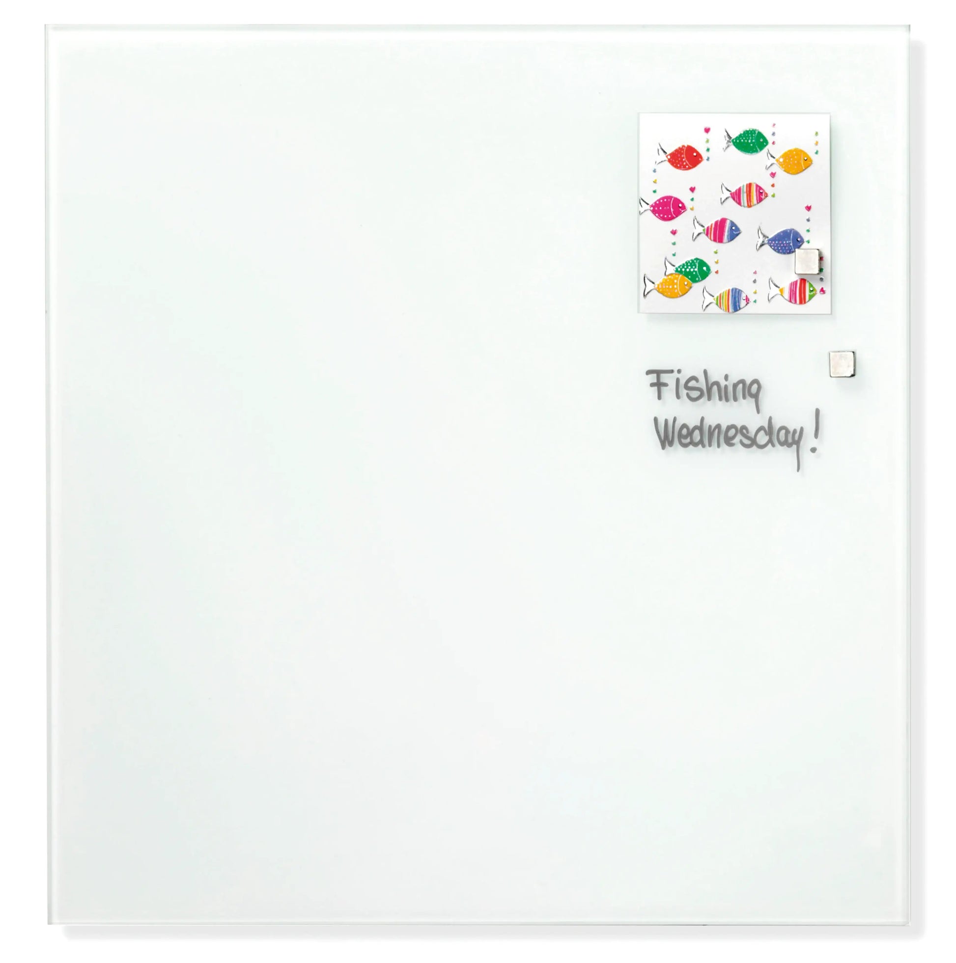 Magnetic Glass Board - Ergometric