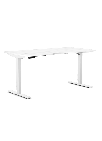 Zen SC Sit-Stand Desk - Ergometric