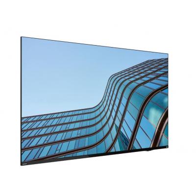 Lenovo ThinkVision E55 LFD
