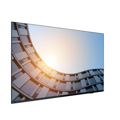 Lenovo ThinkVision E65 LFD