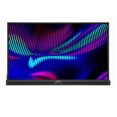 Promethean 65" ActivPanel 10 Display – Clearance