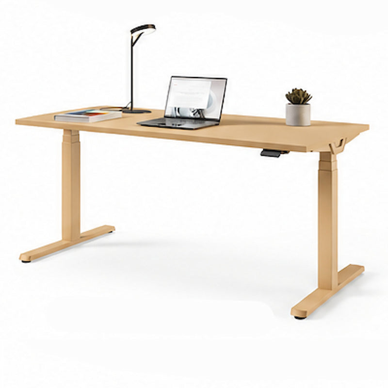 Cantaris Designer Electric Sit Stand Desk – 1600mm