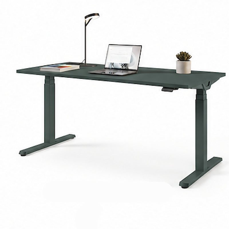 Cantaris Designer Electric Sit Stand Desk – 1600mm - Ergometric