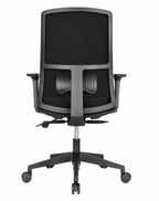 Arc Ergonomic Mesh Task Chair