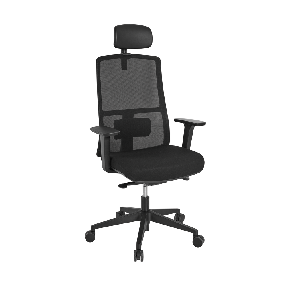 Arc Ergonomic Mesh Task Chair
