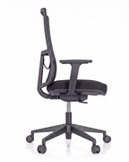 Arc Ergonomic Mesh Task Chair