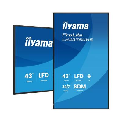 iiyama 43" ProLite LH4375UHS-B2AG Monitor