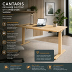 Cantaris Designer Electric Sit Stand Desk – 1600mm