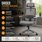 Griseo Ergonomic Mesh Office Chair
