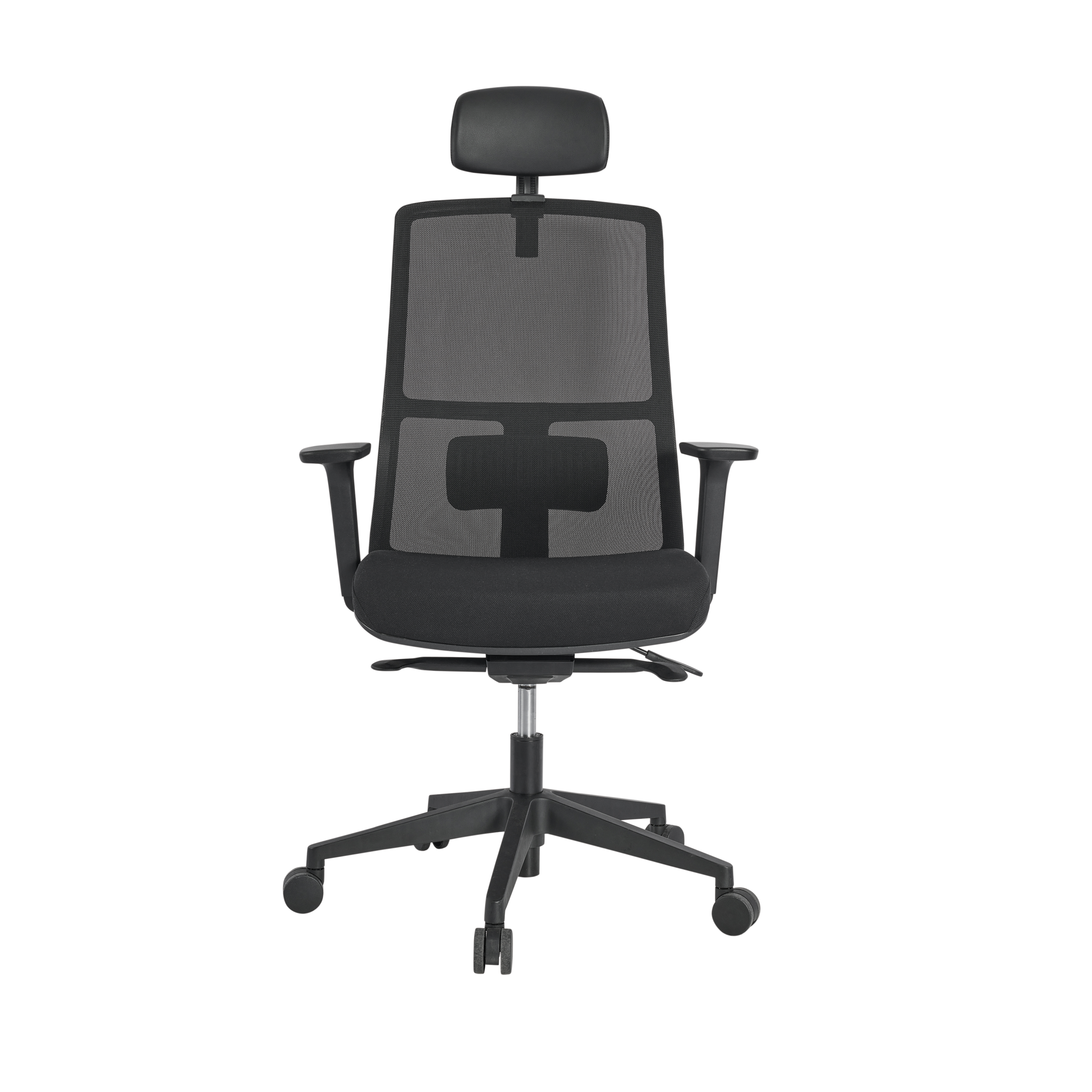Arc Ergonomic Mesh Task Chair
