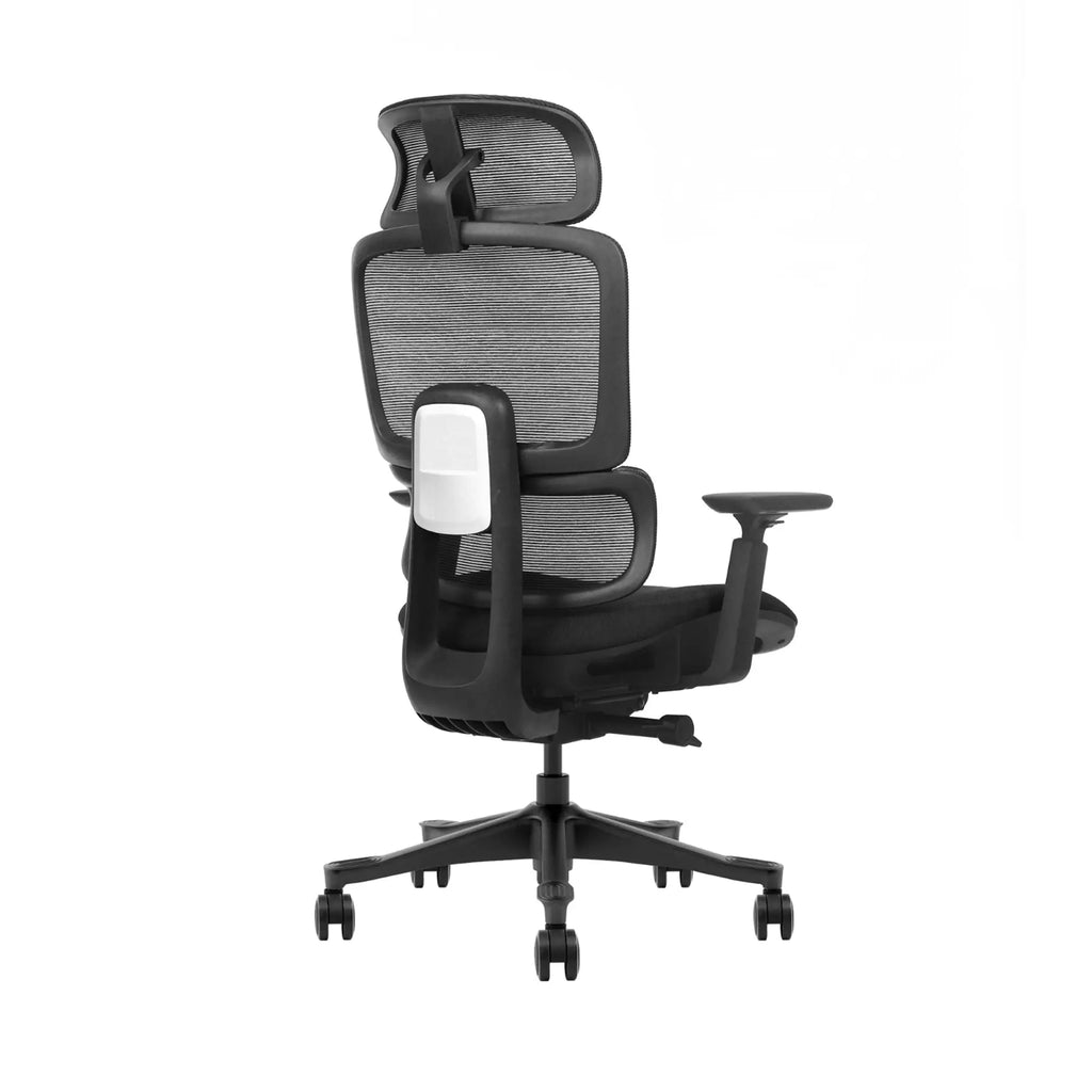 The Everyone  Ergonomic Office Chair