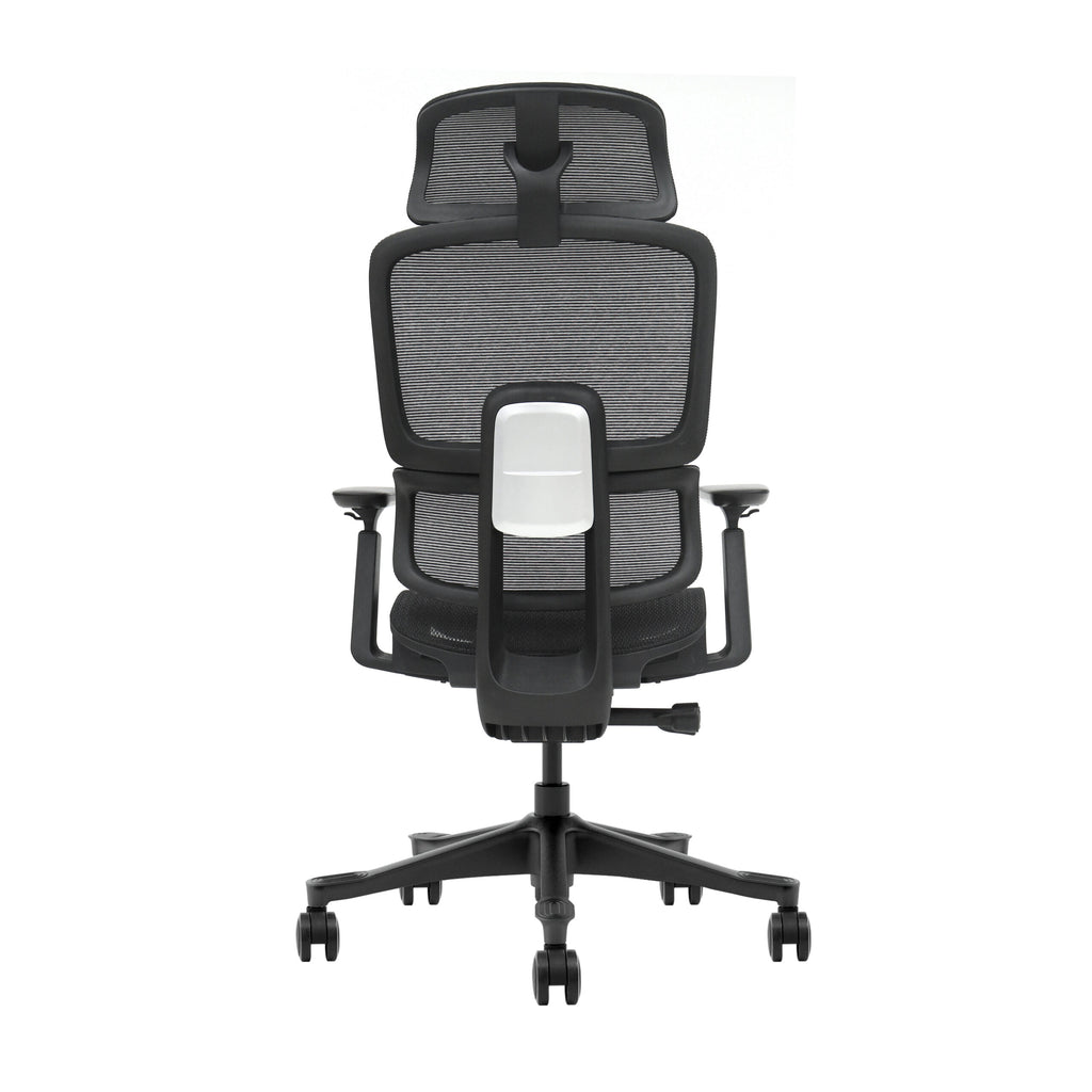 The Everyone  Ergonomic Office Chair