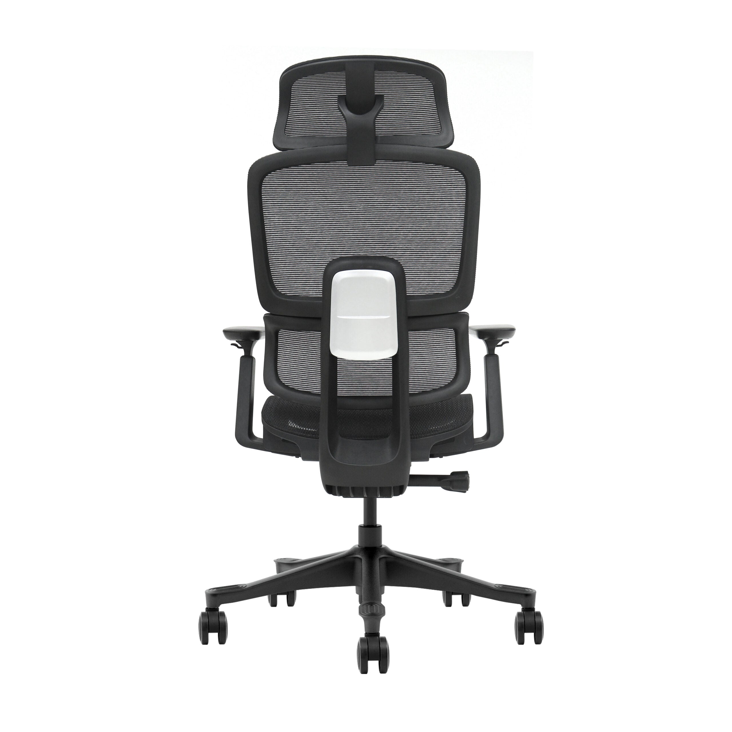 The Everyone  Ergonomic Office Chair