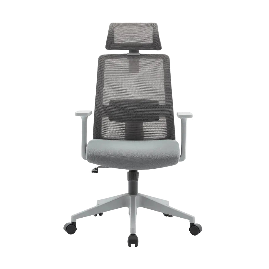 Griseo Ergonomic Mesh Office Chair