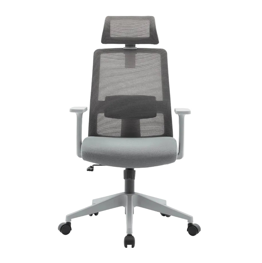 Griseo Ergonomic Mesh Office Chair - Ergometric