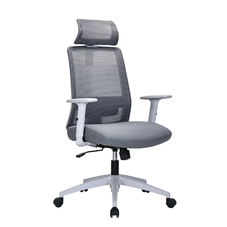 Griseo Ergonomic Mesh Office Chair