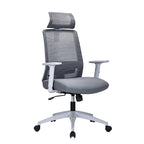 Griseo Ergonomic Mesh Office Chair