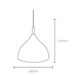 Sinead Acoustic Pendant